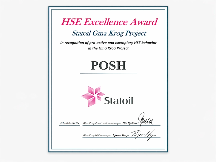 HSE Excellence Award
